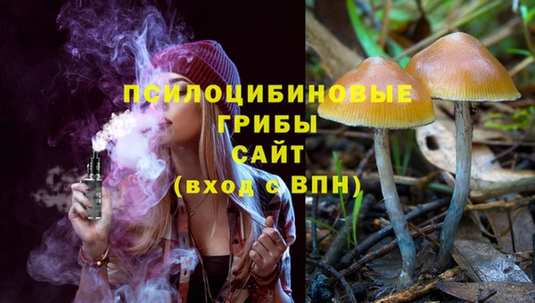 амфетамин Осинники