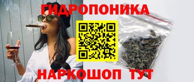 тгк Канаш