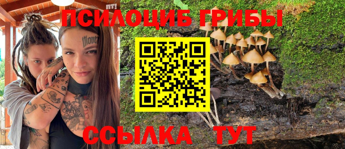 Галлюциногенные грибы мухоморы Скопин