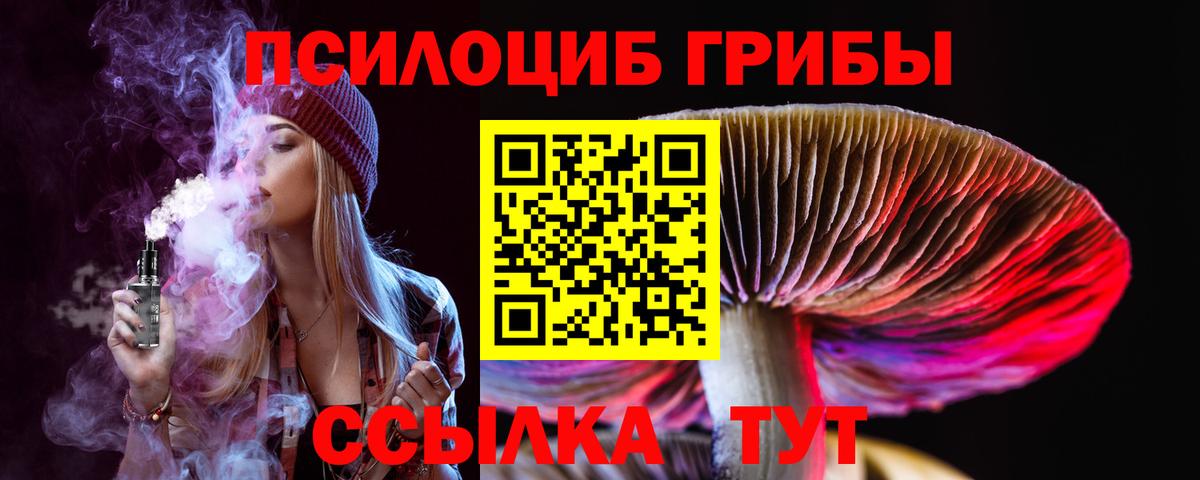Псилоцибиновые грибы Cubensis Скопин